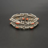 Coral Beauty