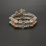 Coral Beauty